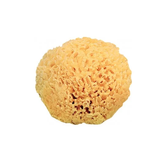Saro Esponja Natural +0m