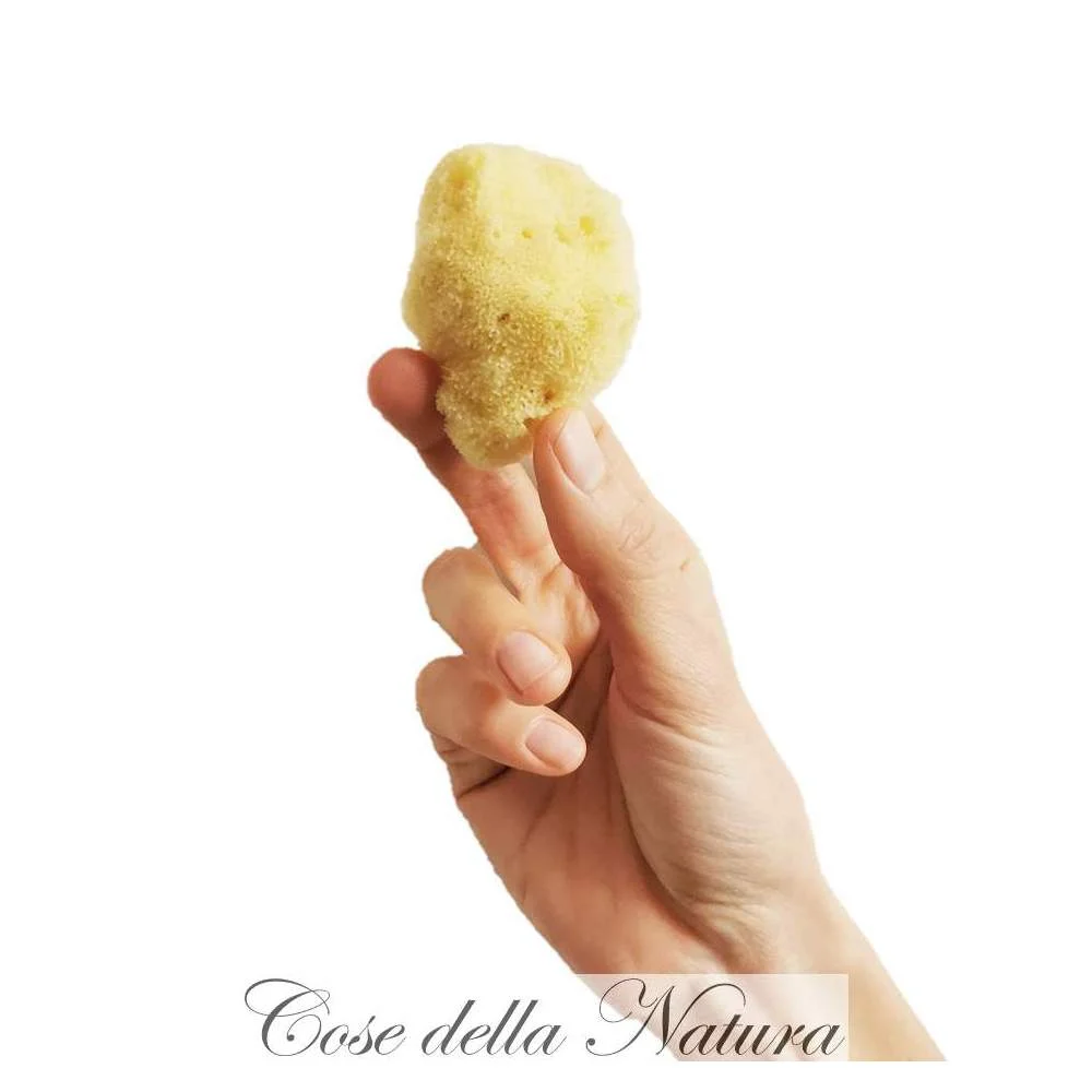 COSE DELLA NATURA Spongella – Spugna Mestruale M