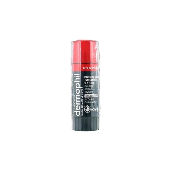 Dermophil-Indien Balsamo Labbra Riparazione Forte 4g