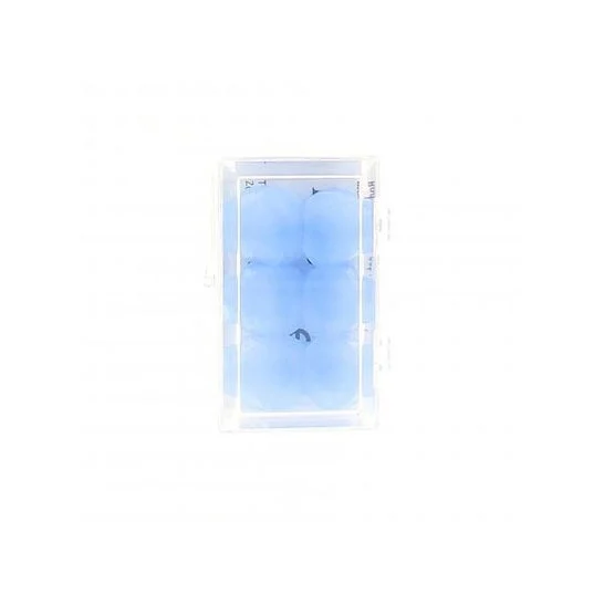 Bodyguard Bouchons D´Oreilles en Silicone 6unités