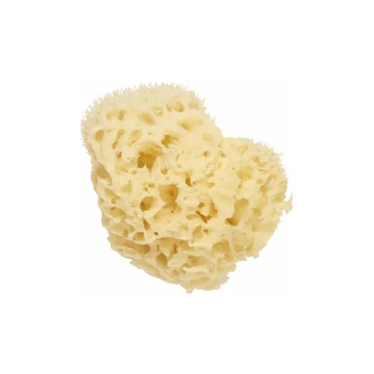 Cartello di spugna mare naturale 11 cm