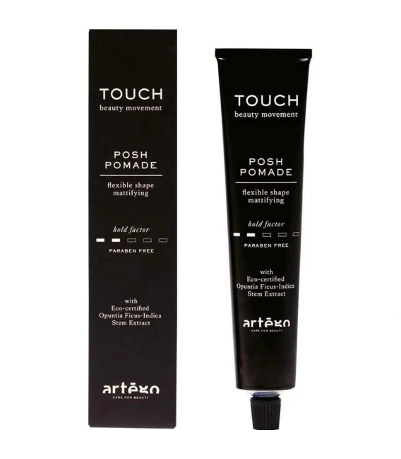 Artego touch posh pomade 100