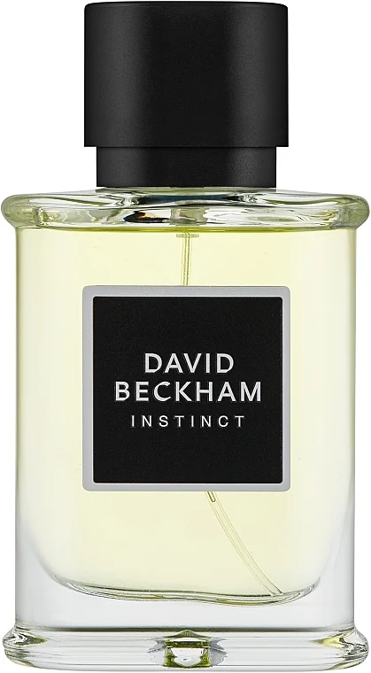 David Beckham Instinct