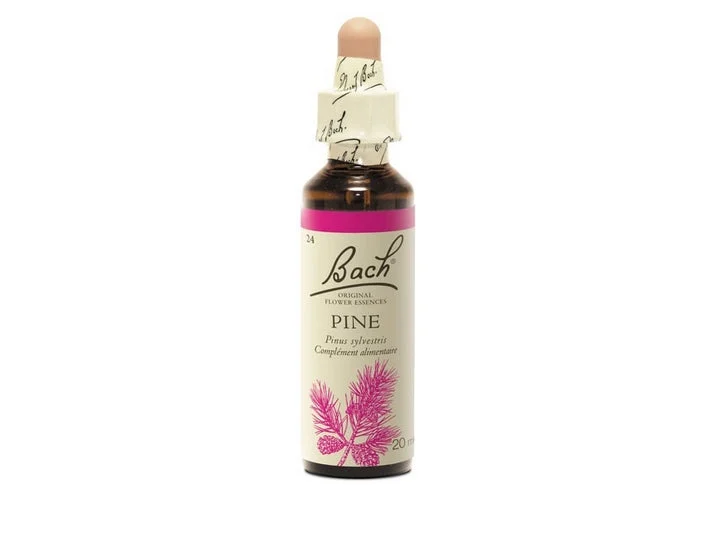 Fiori di Bach Pine (pino silvestre) Equilibrio, giudizio chiaro 20ml