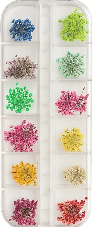 Set di fiori secchi per unghie, 12 colori