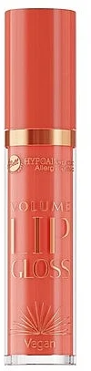 Bell Hypoallergenic Volume Lip Gloss