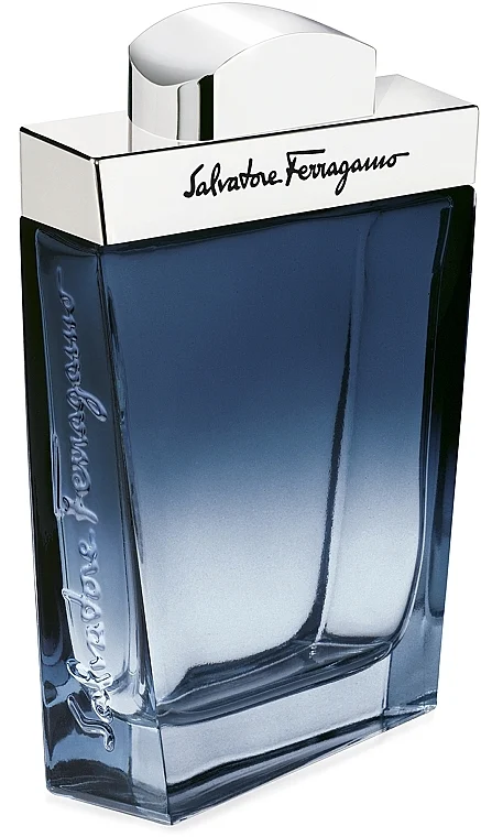 Ferragamo Subtil pour Homme
